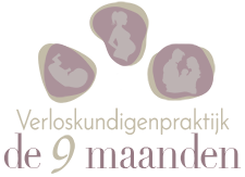 De 9 Maanden Logo