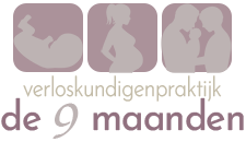 De 9 Maanden Logo